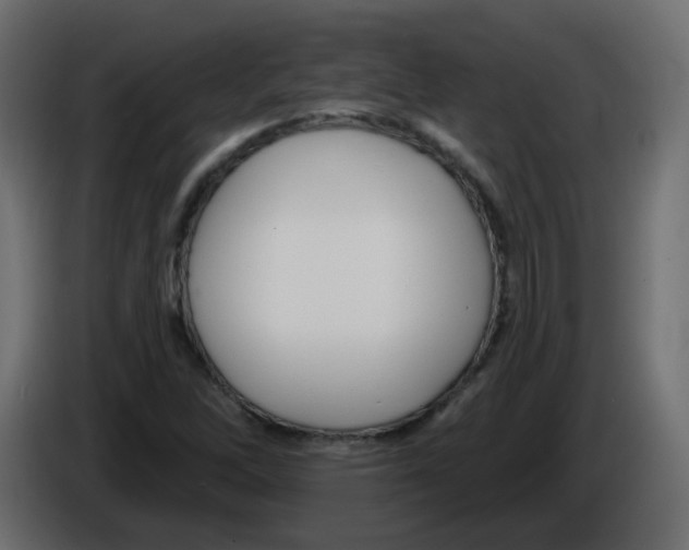 X0000084601262200703231919