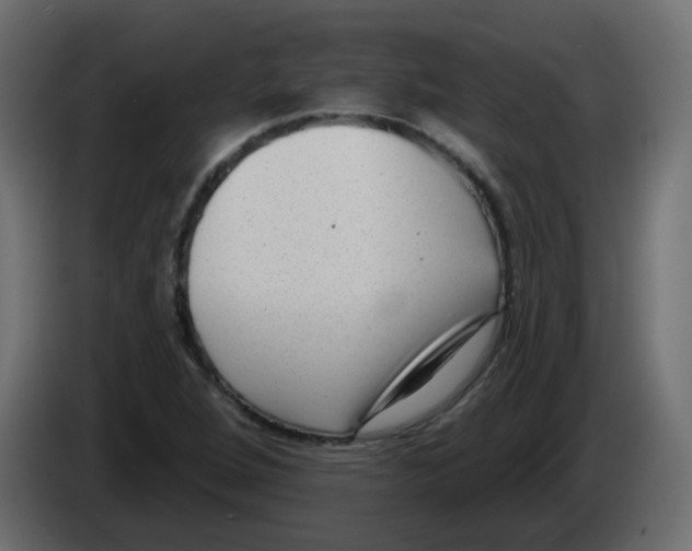 X0000084601264200703231919