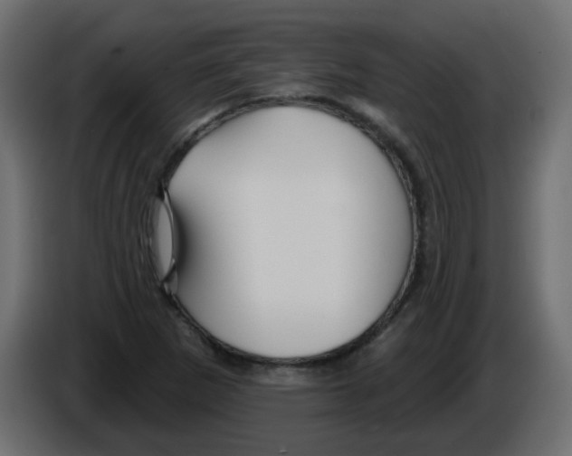 X0000084601265200703231919