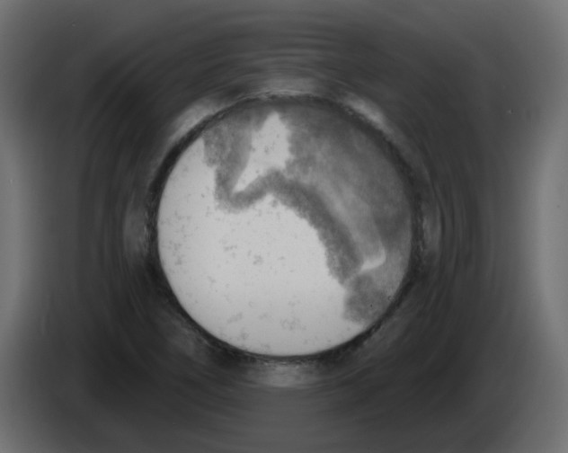 X0000084601266200703231919