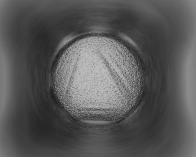 X0000084601267200703231919