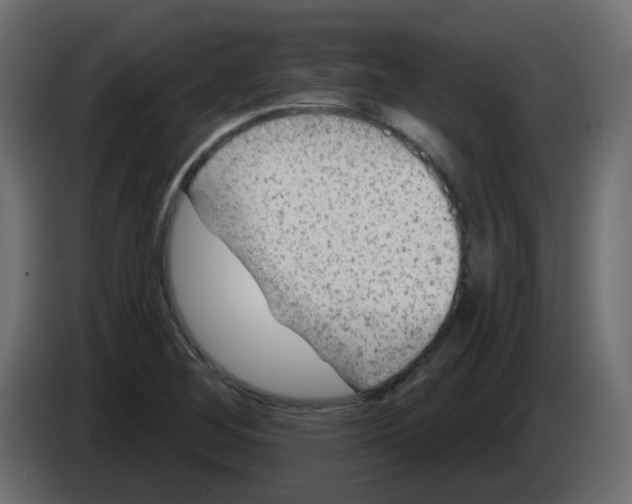 X0000084601268200703231919