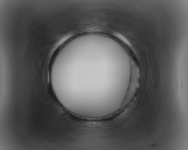 X0000084601269200703231919