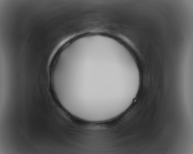 X0000084601270200703231919