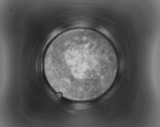 X0000084601274200703231919