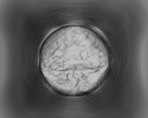X0000084601276200703231919