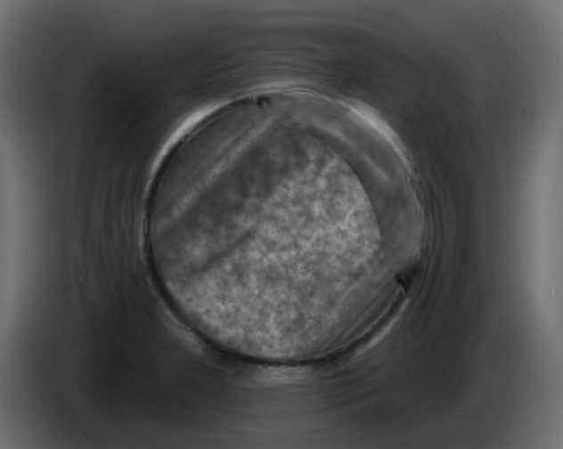 X0000084601277200703231919