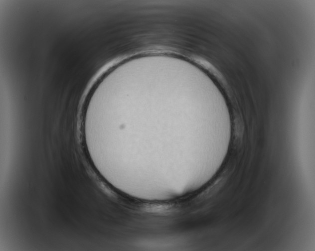 X0000084601278200703231919