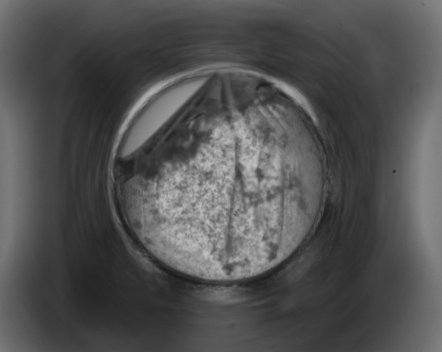 X0000084601279200703231919