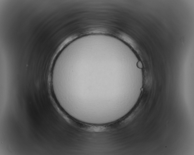 X0000084601282200703231919