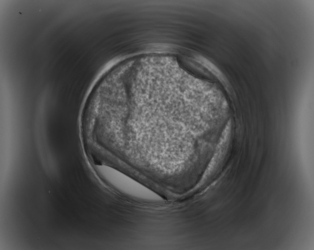 X0000084601283200703231919