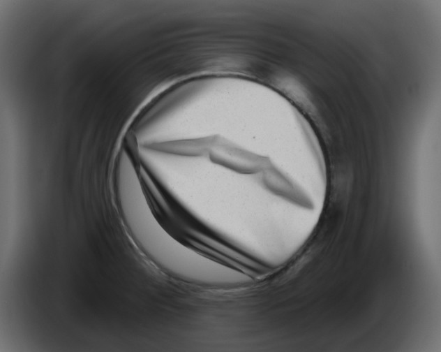 X0000084601284200703231918