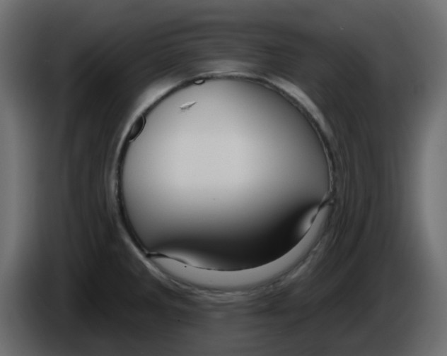 X0000084601285200703231918