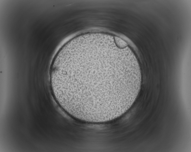 X0000084601287200703231918