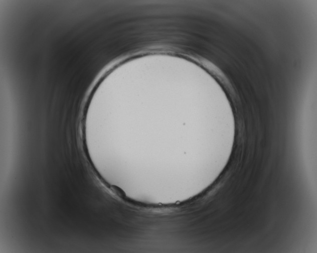 X0000084601288200703231918