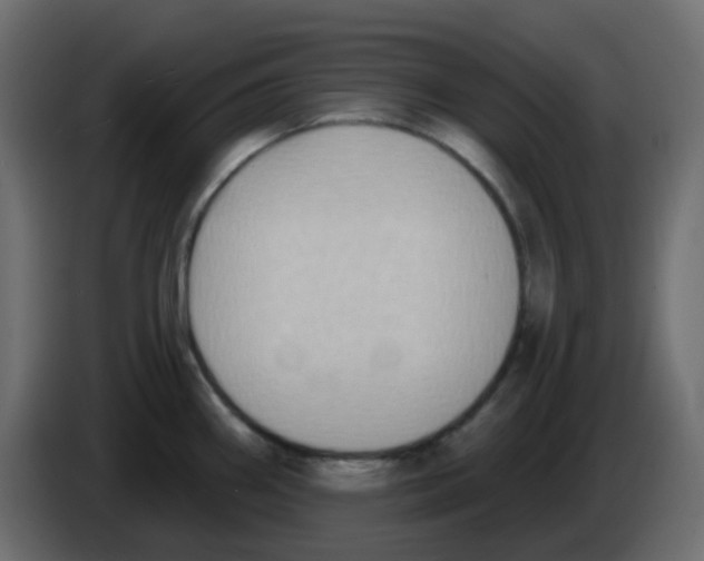 X0000084601290200703231918