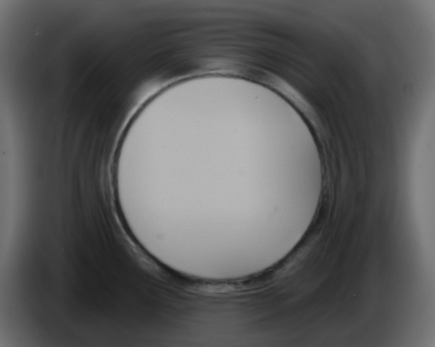 X0000084601291200703231918