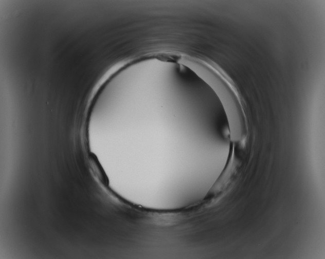 X0000084601293200703231918