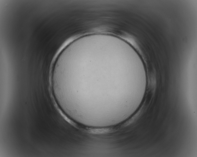 X0000084601294200703231918