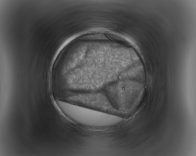 X0000084601295200703231918