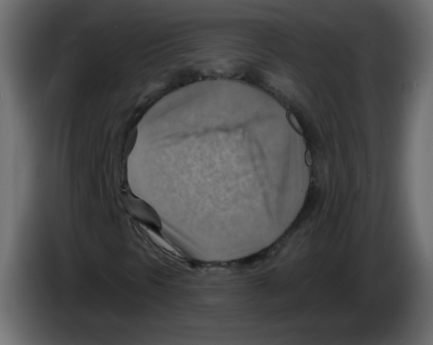 X0000084601297200703231918