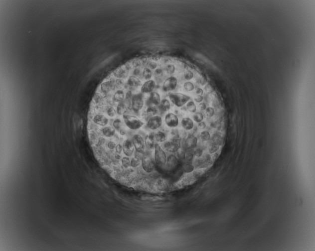 X0000084601302200703231918