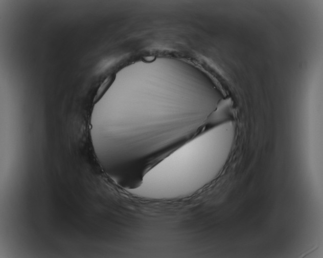 X0000084601303200703231918