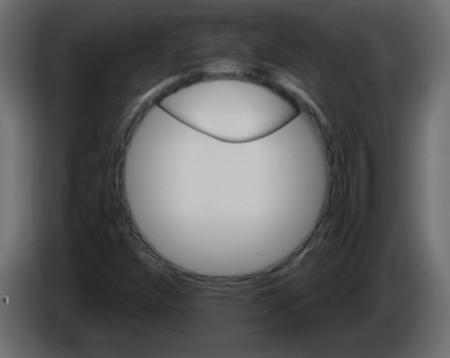 X0000084601304200703231918