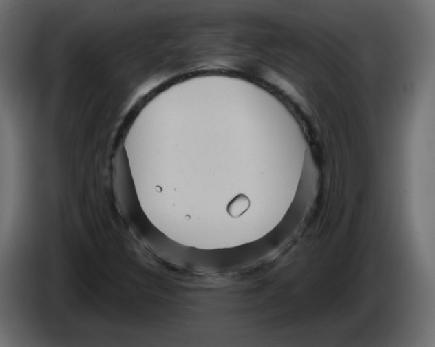 X0000084601308200703231918