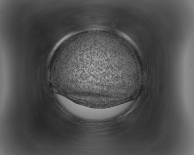 X0000084601310200703231918