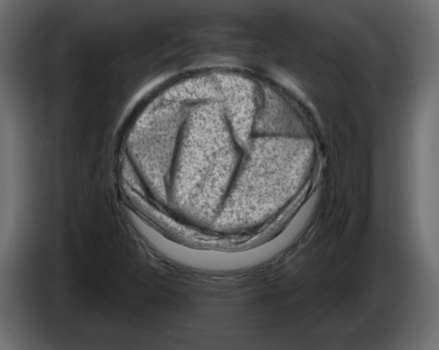 X0000084601312200703231918