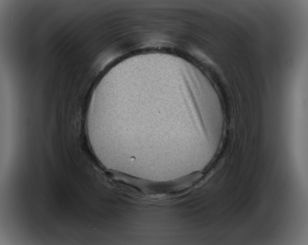 X0000084601313200703231918