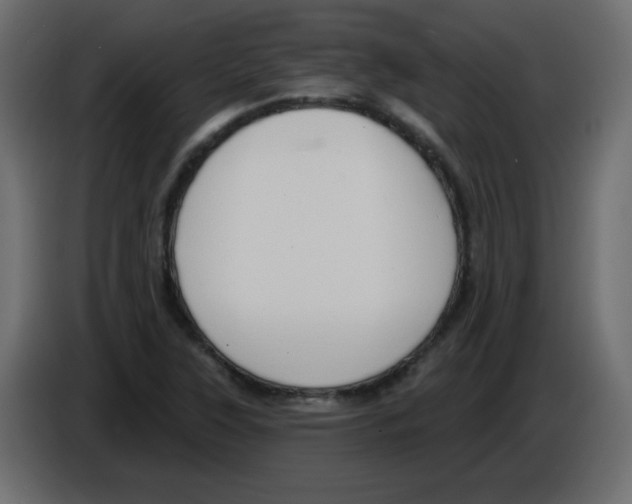 X0000084601315200703231918