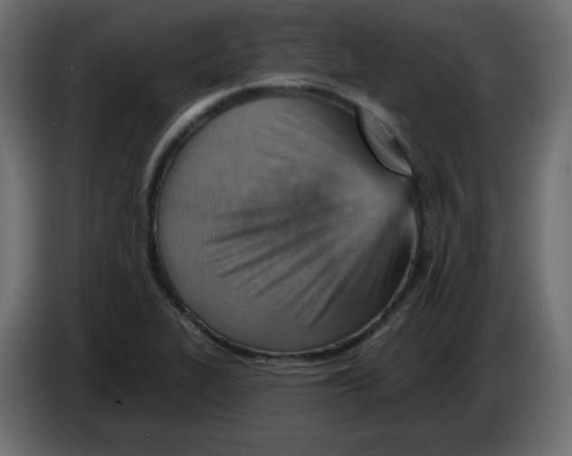 X0000084601319200703231918