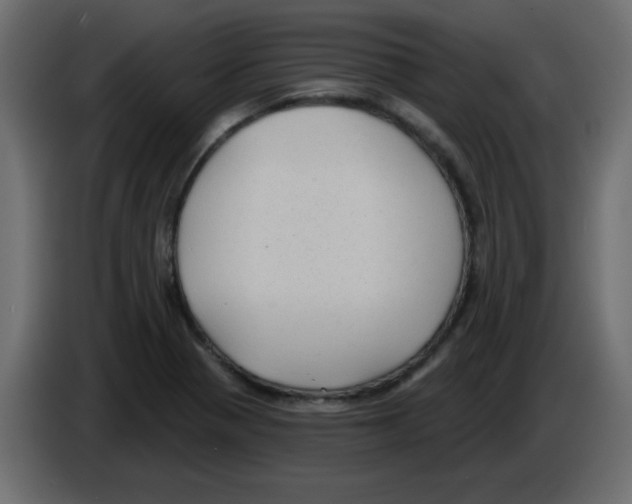 X0000084601321200703231918