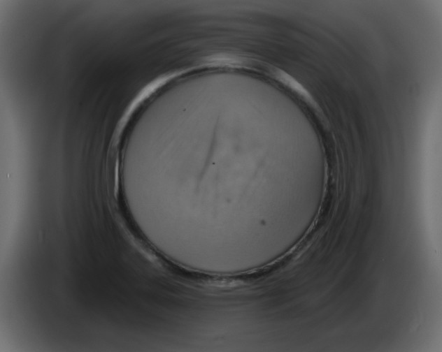 X0000084601323200703231918