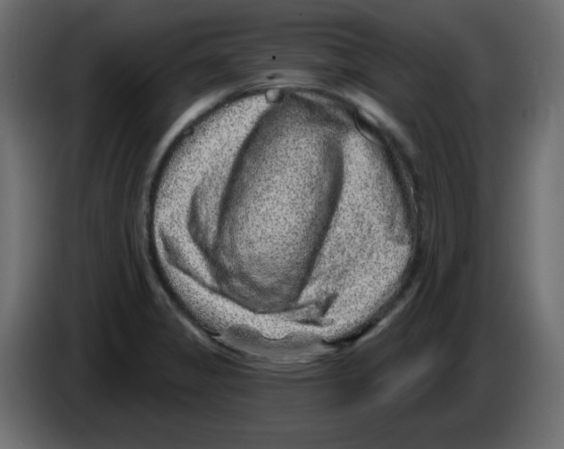 X0000084601325200703231918