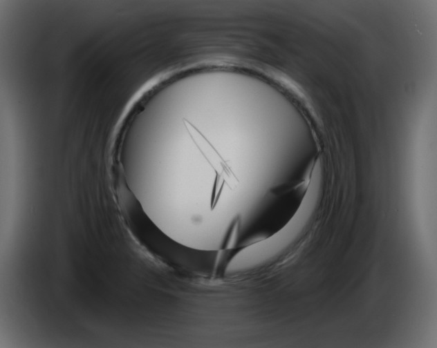 X0000084601326200703231918