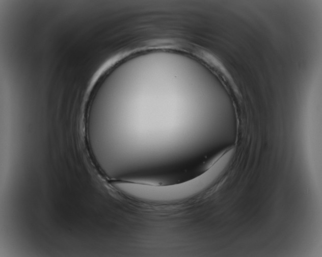 X0000084601328200703231918