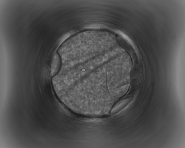 X0000084601329200703231918