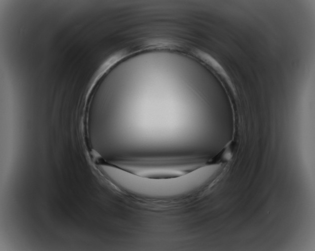 X0000084601330200703231918