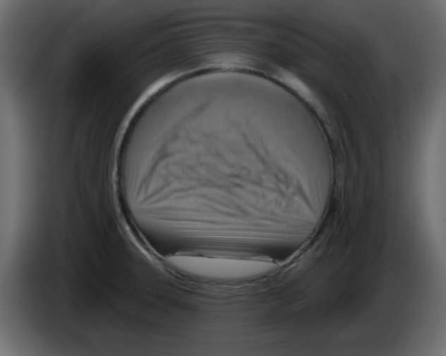 X0000084601331200703231918