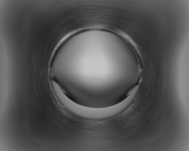 X0000084601332200703231918