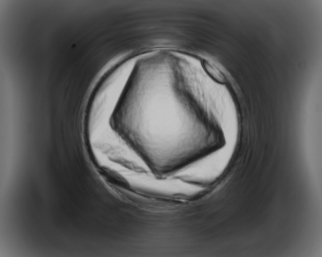 X0000084601333200703231918