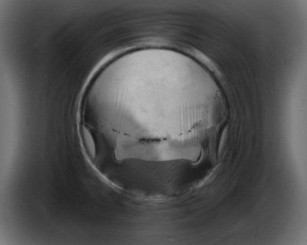 X0000084601334200703231918