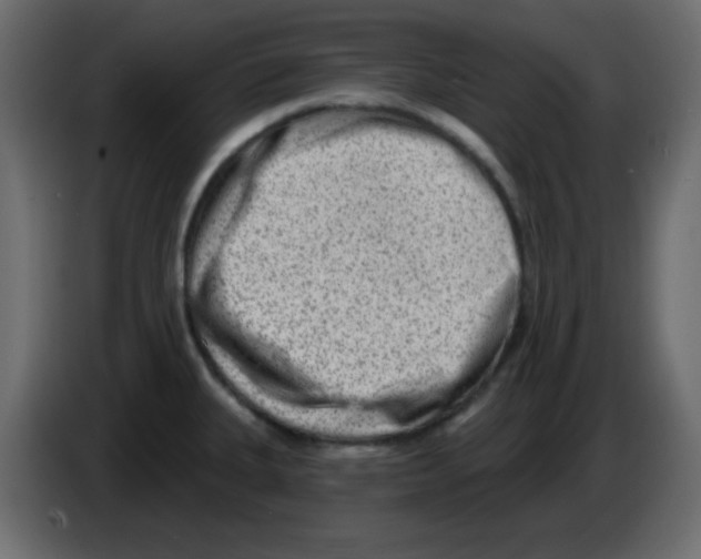 X0000084601335200703231918