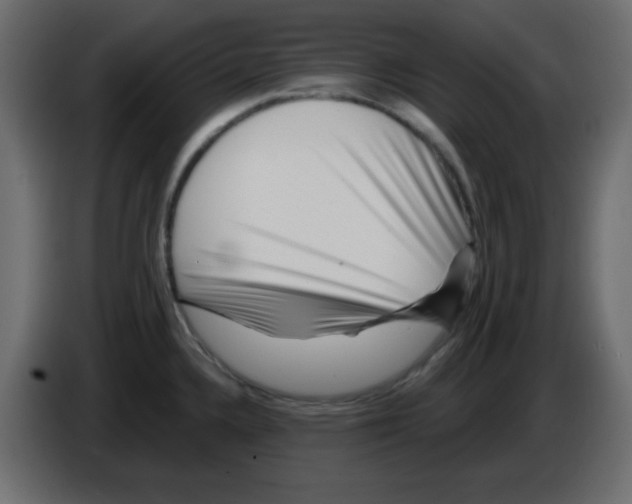 X0000084601336200703231918