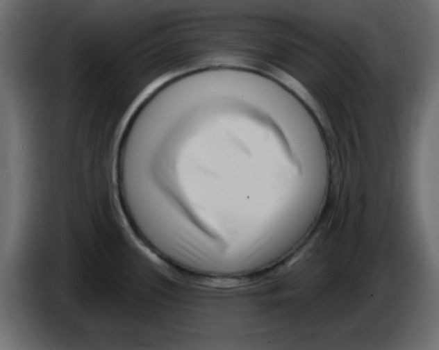 X0000084601339200703231918