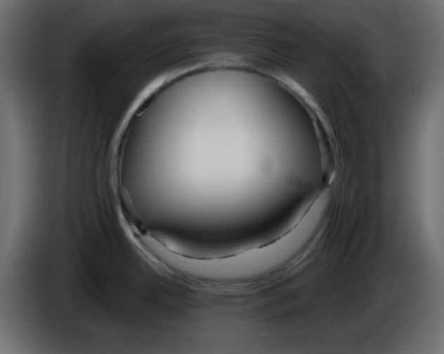 X0000084601342200703231918