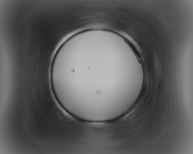 X0000084601343200703231918